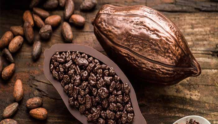 کاکائو داروی درمان دیابت خواهد شد