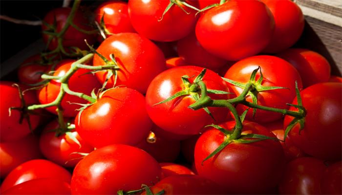 پیکار گوجه فرنگی با سرطان معده