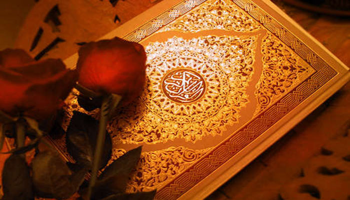 اشارات قرآن به گیاهان و خواص آنها اشارات قرآن به گیاهان و خواص آنها