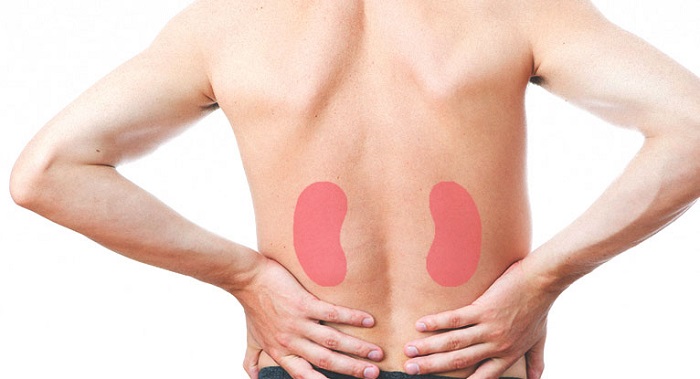 چه بیماری هایی باعث آسیب کلیوی می شوند؟ چه بیماری هایی باعث آسیب کلیوی می شوند؟