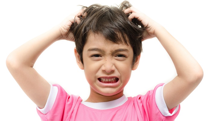آیا شپش سگ به انسان سرایت می کند؟ آیا شپش سگ به انسان سرایت می کند؟