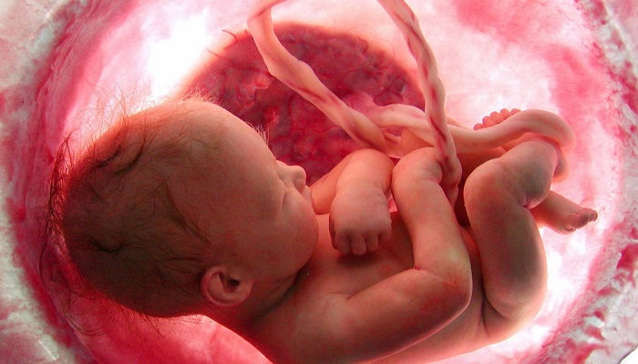 آیا پروژسترون از سقط جنین جلوگیری می کند؟