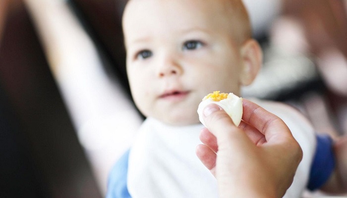 پیشگیری از سوءتغذیه کودکان با مصرف تخم مرغ