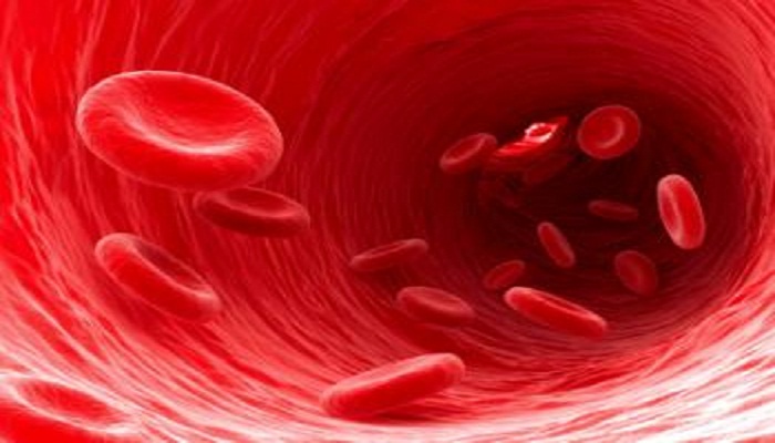 آنچه باید درباره چربی خون بدانید