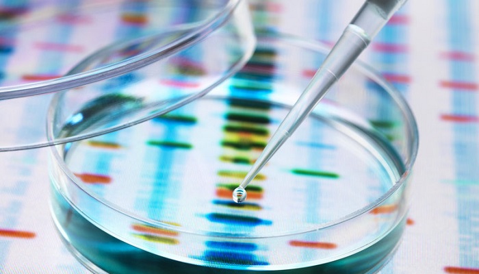 هر آنچه که باید درباره آزمایش ژنتیک بدانید