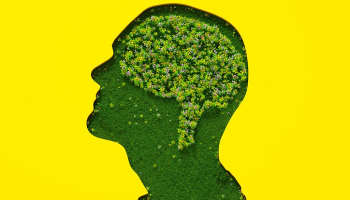 چه خوراکی هایی برای مغز مضر است؟