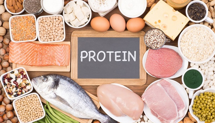 چرا و به چقدر پروتئین نیاز داریم؟