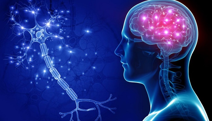 یک ویروس شایع، عامل ابتلا به ام اس یک ویروس شایع، عامل ابتلا به ام اس