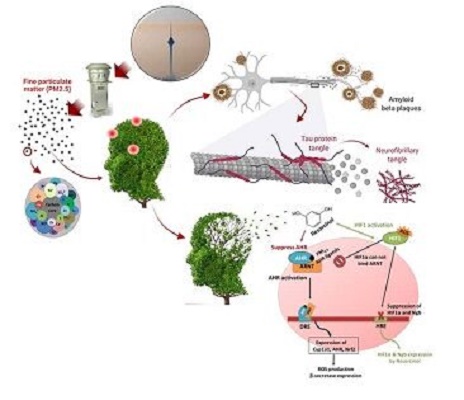 شناسایی اثرات مخرب ریزذرات معلق هوا در بروز آلزایمر در دانشگاه تهران