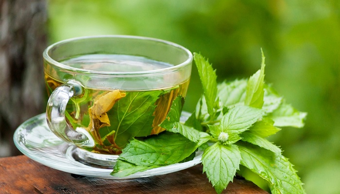 خوراکی های معجزه گر در درمان آلزایمر خوراکی های معجزه گر در درمان آلزایمر