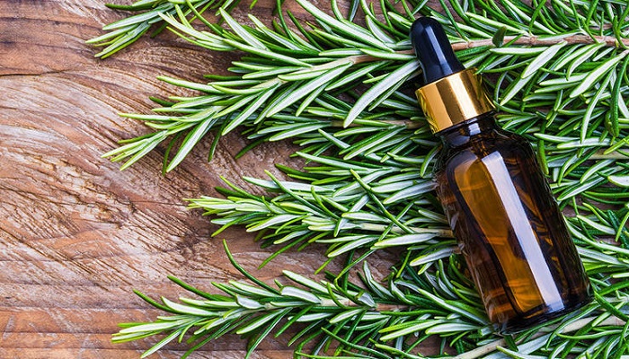 یک شاخه رزماری، یک دنیا خاصیت یک شاخه رزماری، یک دنیا خاصیت