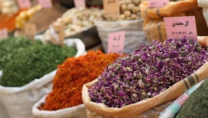گیاهان دارویی جای دارو را نمی گیرند گیاهان دارویی جای دارو را نمی گیرند