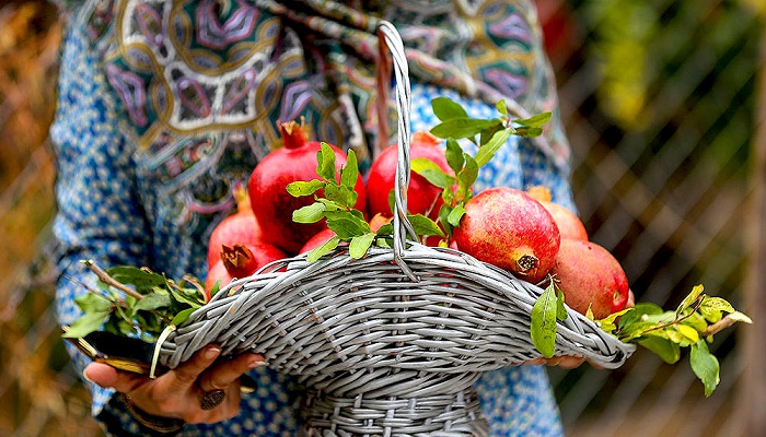 خواص انار در طب سنتی خواص انار در طب سنتی