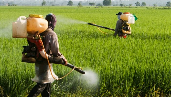 آفت کش ها خطر اوتیسم را افزایش می دهند آفت کش ها خطر اوتیسم را افزایش می دهند