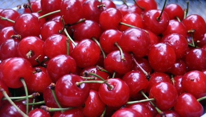 آلبالو میوه ای شفابخش