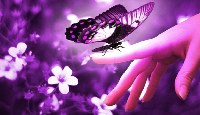 پروانه بنفش رنگ، نماد بیماری لوپوس در دنیا