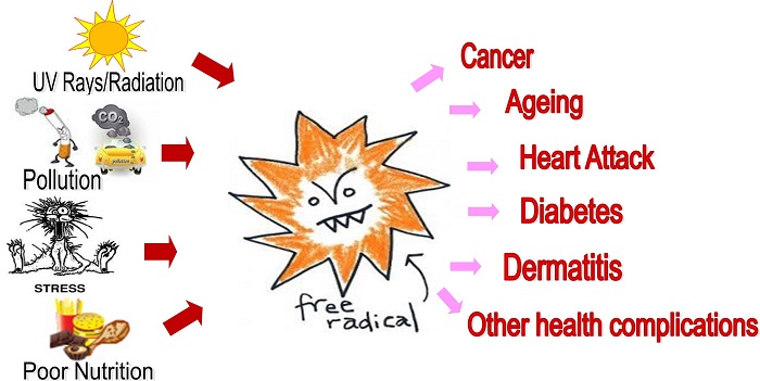 رادیکال آزاد چیست؟ آنتی اکسیدان چه نقشی در بدن دارد؟