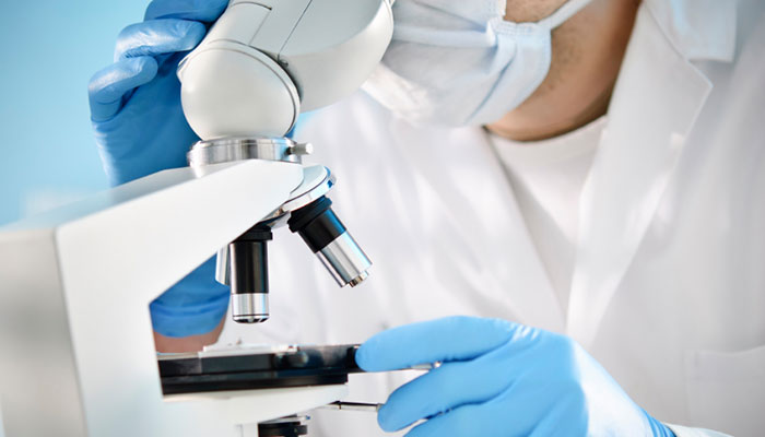 تسکین درد با نانومیلههای دارای پوشش پروتئینی تسکین درد با نانومیلههای دارای پوشش پروتئینی