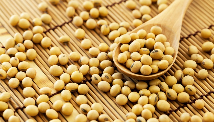 سویا دارای ترکیبات نجات دهنده است سویا دارای ترکیبات نجات دهنده است