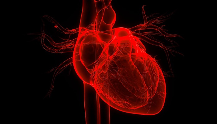 پزشک چگونه نارسایی قلبی را تشخیص می دهد؟