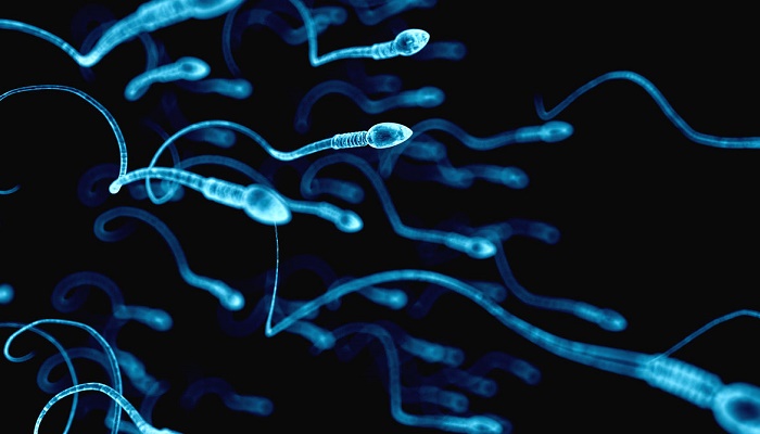 بررسی علل کم بودن اسپرم در مردان