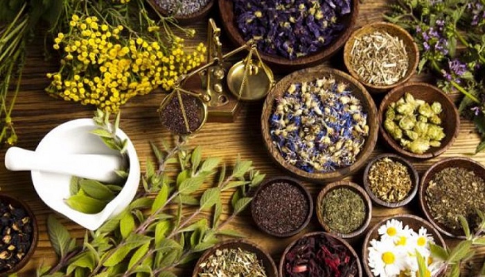 پیشگیری از کبد چرب با چهار گیاه دارویی