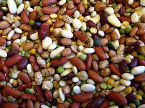 لوبیا